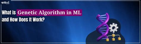 Image result for How Does Genetic Algorithm Work