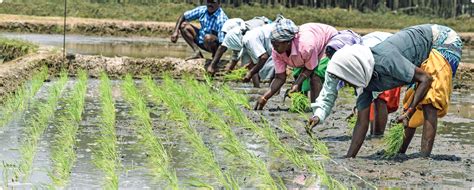 HUL Environmental highlights 2023 - 24 | Hindustan Unilever Limited (HUL)