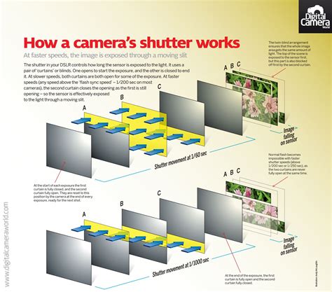How Does A Camera Shutter Mechanism Work at Lula Meyers blog
