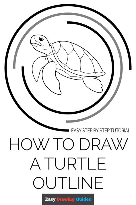 Image result for Turtle Drawing Tutorial