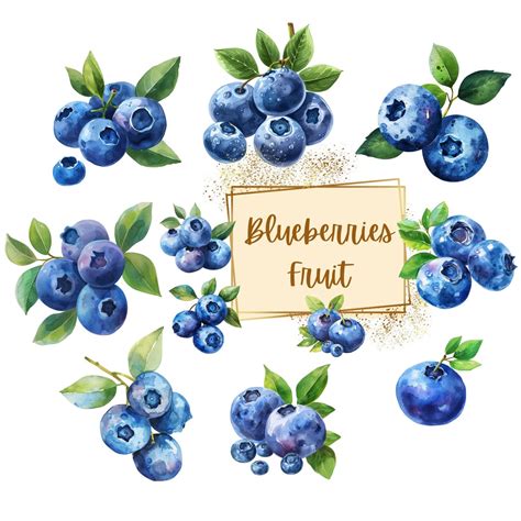 Blueberry Clipart, Blueberries Plant Fruit Clipart, Cute Blueberry ...