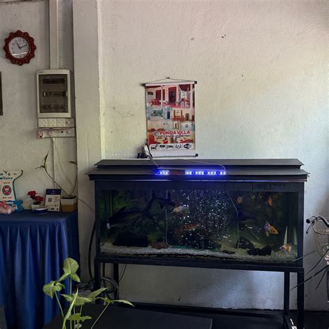 OYO 280 AWON (Mirissa) - Hotel Reviews, Photos, Rate Comparison ...