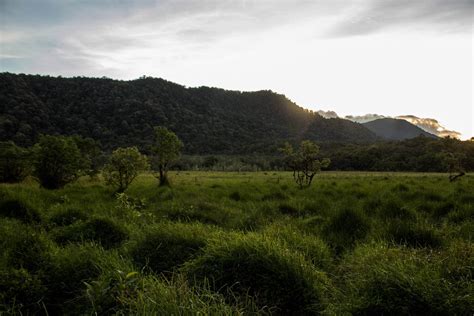 Ladeh Panjang Wetlands | Sumatra Jungle Trekking to a Remote Marsh