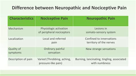 Neuropathic pain vs nociceptive pain | PPTX