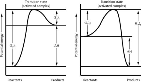 Potential Energy Graphs 的图像结果