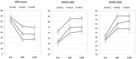 JCM | Special Issue : Strategies for the Prevention of Knee Osteoarthritis