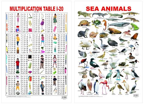 Multiplication chart Educational Wall Chart For Kids - Both Side Hard ...