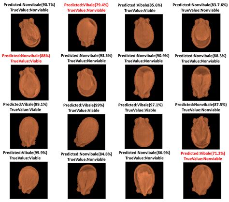 Classification of Watermelon Seeds Using Morphological Patterns of X ...