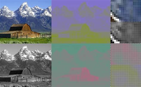 Chroma Subsampling Example 的图像结果