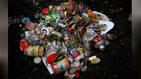 11,000 kg garbage, four dead bodies removed from Mt Everest in two ...