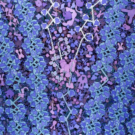 Science/Art 的图像结果