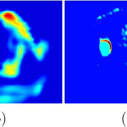 Feature Map Offloading 的图像结果