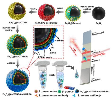 Correction: Li et al. Magnetic SERS Strip Based on 4 ...