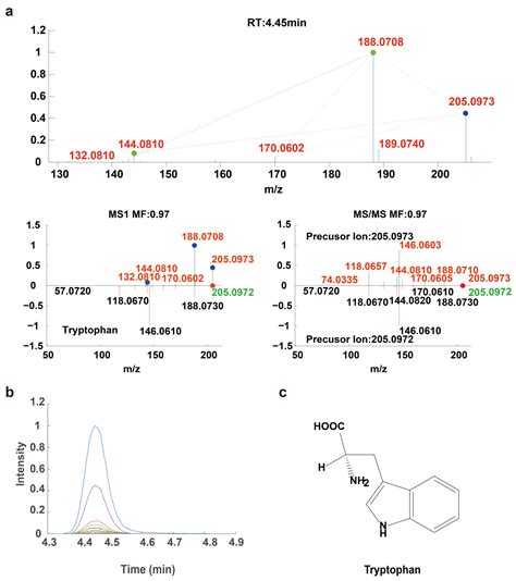 A Strategy for Differentiating Oak Barrel Aged and Non-Oak Barrel Aged ...