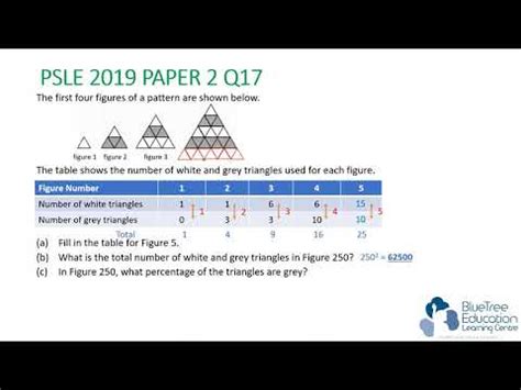 Image result for PSLE Math Pattern