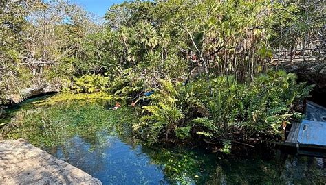 CENOTE NICTE-HA - All You Need to Know BEFORE You Go (with Photos ...