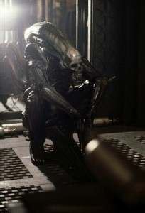 Alien Actor 的图像结果