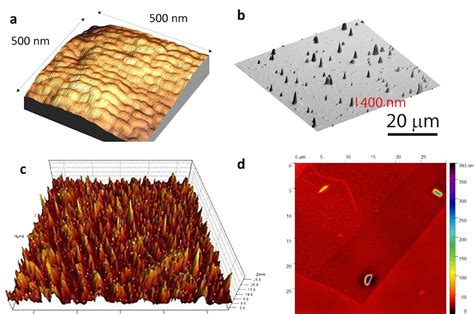 Image result for Scanning Probe Microscopy