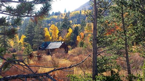 Savor the Sweetness of Fall in Genoa, Nevada: A Candy Dance ...