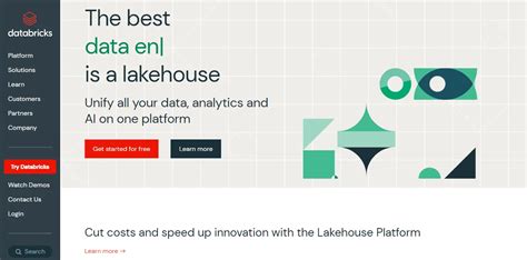 Databricks 的图像结果