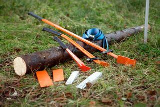 6 steps to successful tree felling | Husqvarna IN