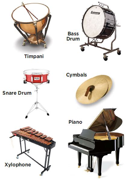 Image result for Rhythm Instruments