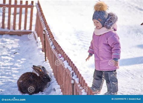 Yuzhno-Sakhalinsk, Russia - Jan 01, 2022: a Little Girl Feeds Rabbits ...
