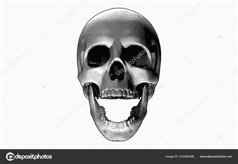Human Skull Open Jaw Drawing