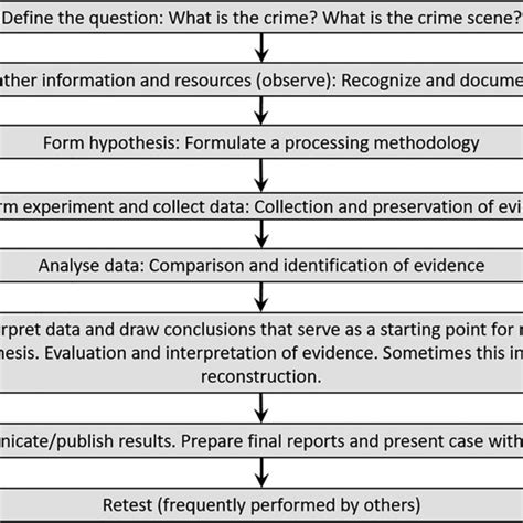 Scientific Investigation Method Example 的图像结果