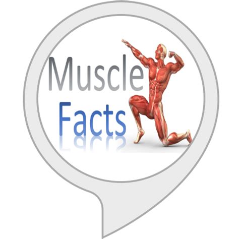 Amazon.in: Muscle Facts : Alexa Skills