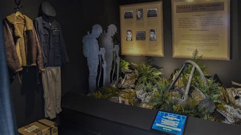 NZ Warbirds at Ardmore | Activities & Day Trips in Auckland, New Zealand