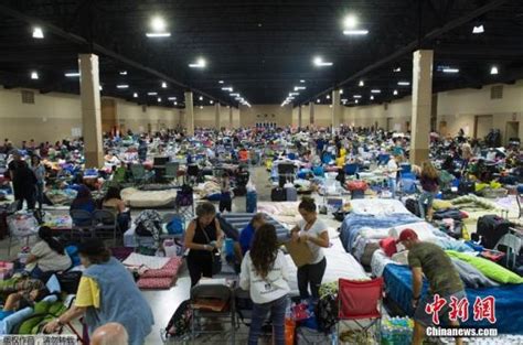 “世纪飓风”来势汹汹 美国560万人撤离(图)|迈阿密|避难所|保险_新浪新闻