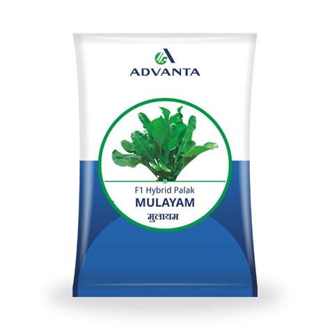 Advanta Seeds Mulayam F1 Hybrid Palak Seeds – Cultree India