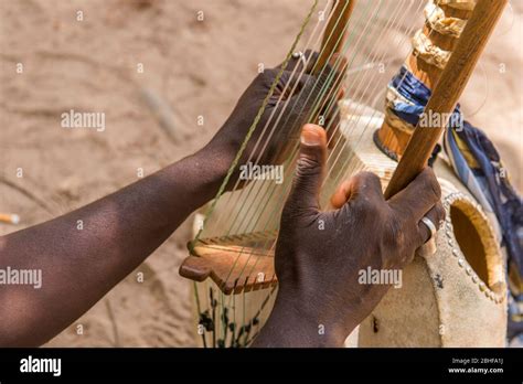 Image result for African String Instruments