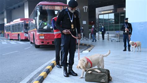 Get best specialized security services | RAXA