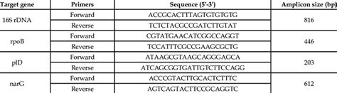 Image result for Multiplex PCR Primer Design