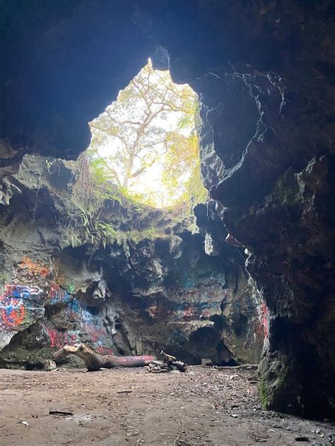 Hernando County Walking Club - Dames Cave and Lizzie Heart Sink Loop ...