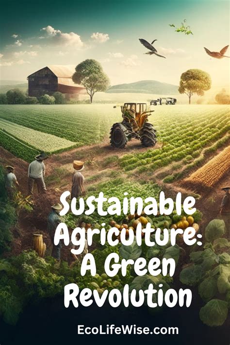 Sustainable Agriculture 的图像结果