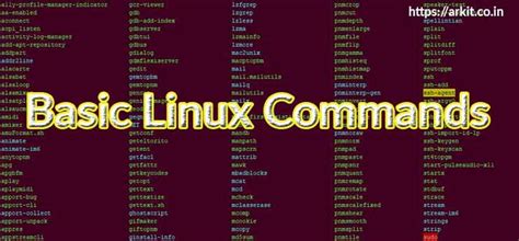 Basic Linux Commands For Absolute Beginners - ARKIT