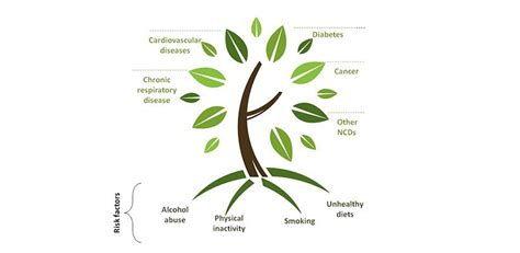 Lifestyle Disease: Prevention and Risk Reduction