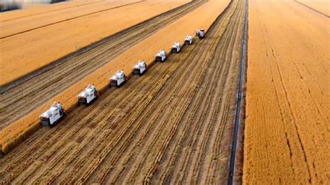 农业现代化 的图像结果