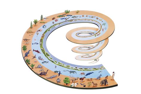 Image result for Taxonomy Basics