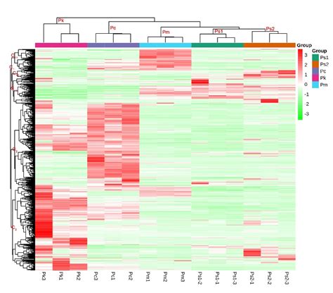 Untargeted Metabolomics Analysis Revealed the Major Metabolites in the ...