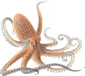 Interesting Fun Facts