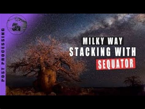 Sequator Tutorial 的图像结果