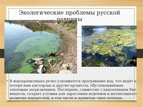 Презентация по географии на тему _Проблемы рационального использования ...