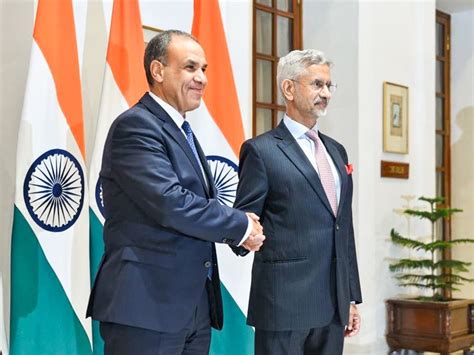 Growing India-Egypt ties open doors for collaboration in EV, renewables ...