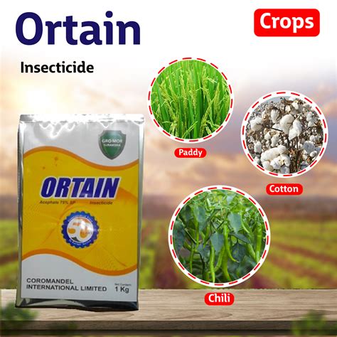 Coromandel Ortain Insecticide – Agriplex