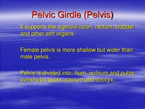 Image result for Musculoskeletal System Joints