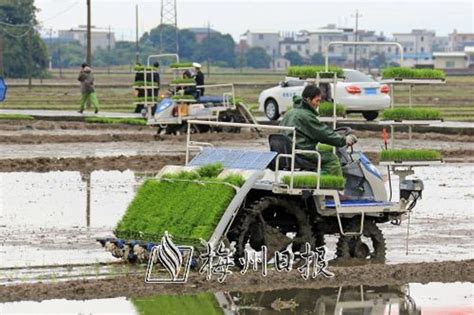 贵州丹寨： 春分时节耕种忙 抢抓节气推振兴 - 图片 - 海外网